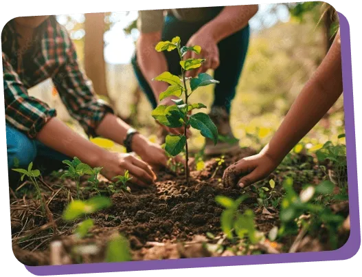 Three people tending to a plant in a forest